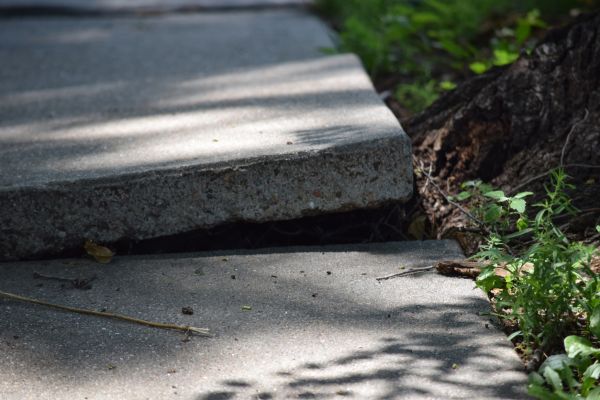 Sidewalk Leveling in Hopkins
